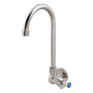 Stainless Steel Single Wall Mount Body with Single Control and 12-inch Gooseneck Swivel Spout - Stainless Steel