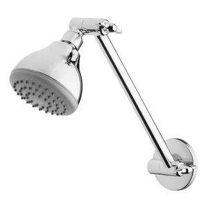 Ivy Shower Arm & Rose Chrome - Chrome