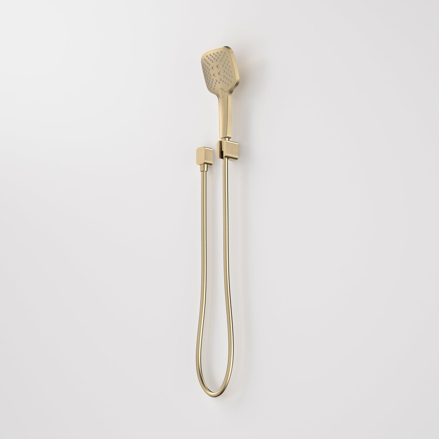 Luna Multifunction Hand Shower Brushed Brass