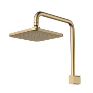 Luna Fixed Overhead Shower Brushed Brass - Brushed Brass