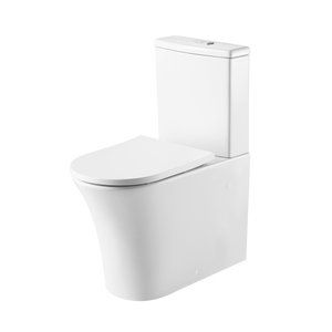 Dublin Back To Wall Toilet Suite White - White