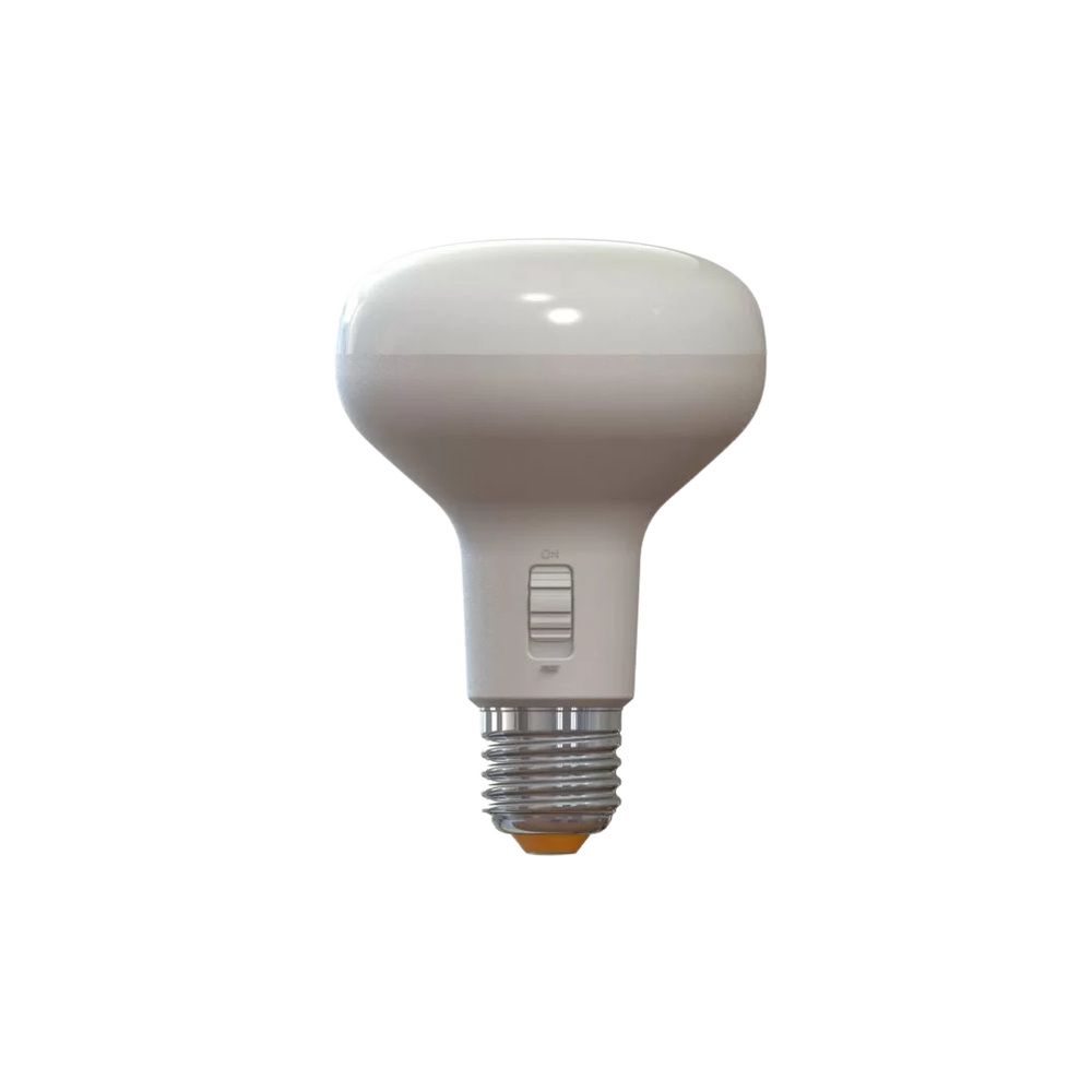 10W R80 Motion Sensor LED Globe