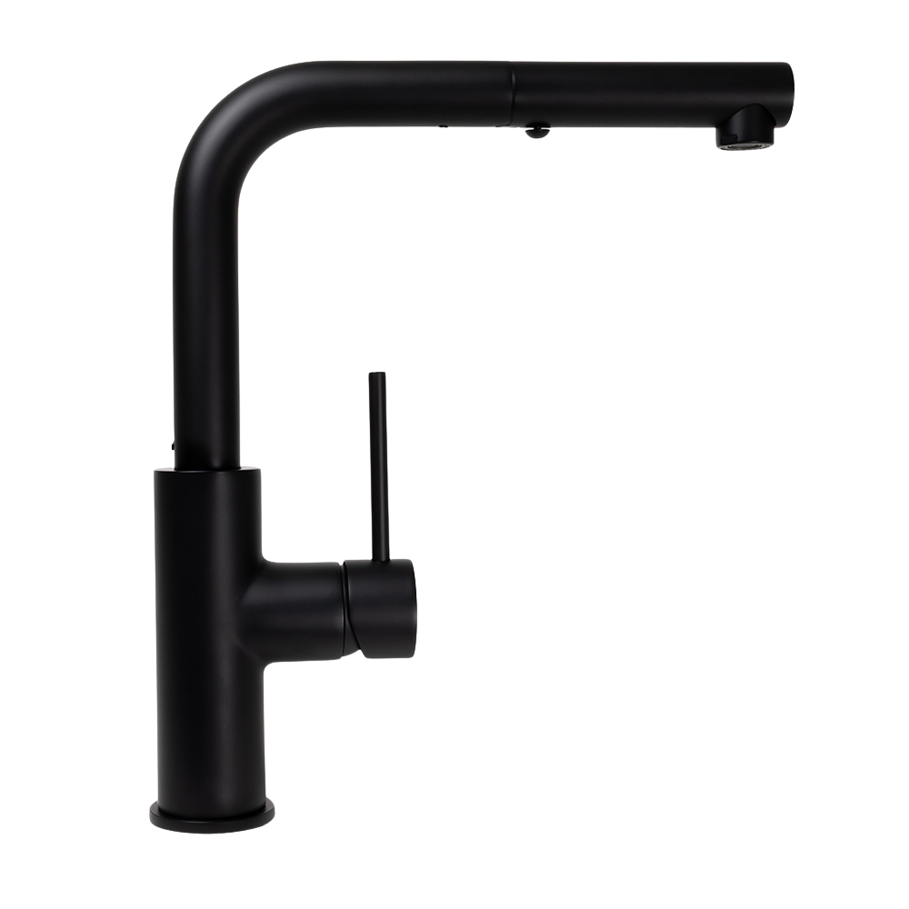 Nisa Square Pull Out Mixer Matte Black