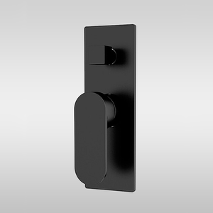 Ecco Shower Mixer with Divertor Matte Black - Matte Black