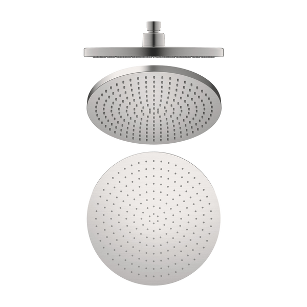 Air Shower Head Brushed Nickel